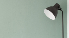 demo-attachment-1104-david-van-dijk-3LTht2nxd34-unsplash-1024x1024